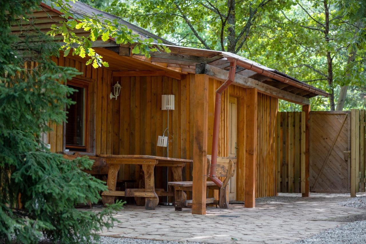 Holiday House With Sauna Cēsis Екстериор снимка